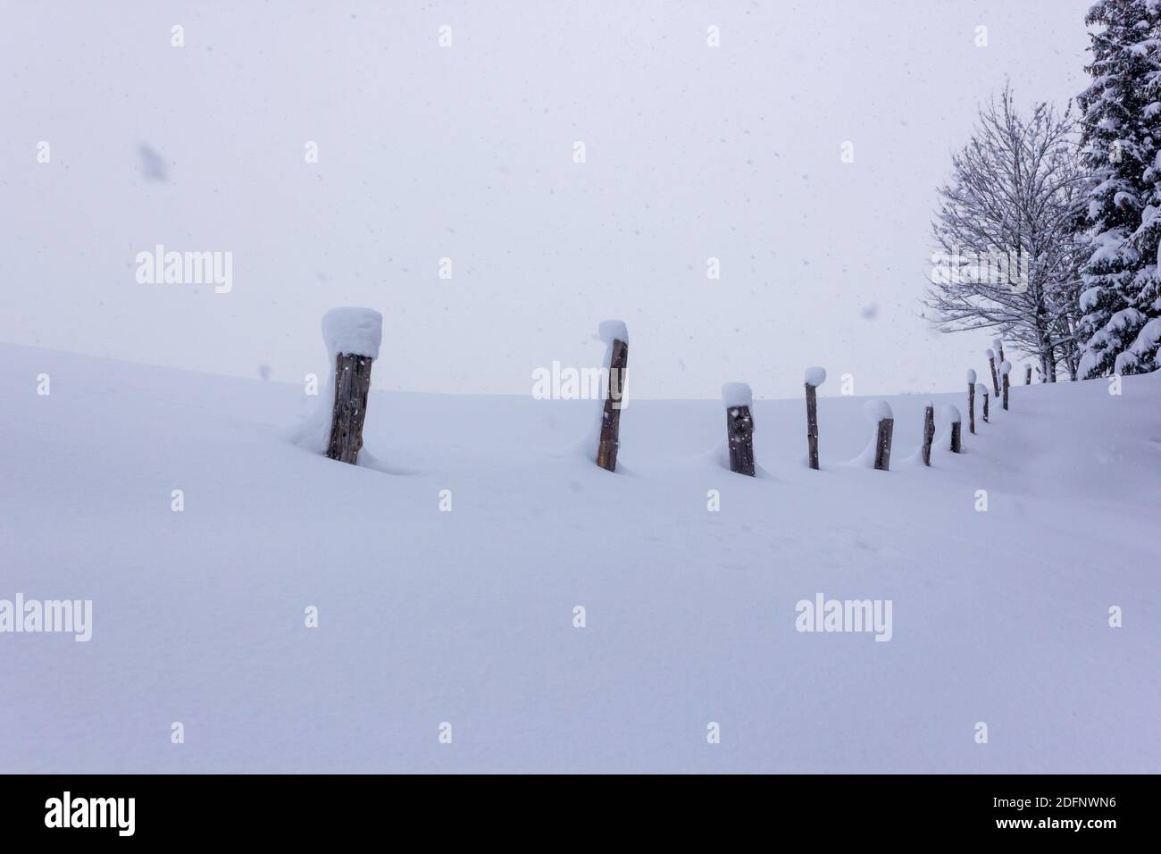 Wooden fence on a farmstead meadow covered in fresh snow during a blizzard in the Austrian alps Stock Photo