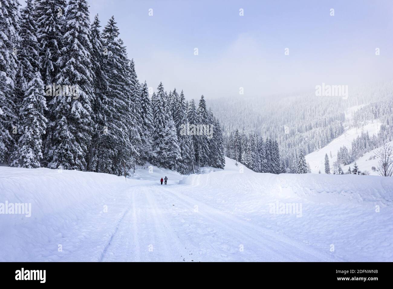 Beautiful snow covered landscape in the alps with people hiking in the distance (Filzmoos, Salzburg county, Austria) Stock Photo