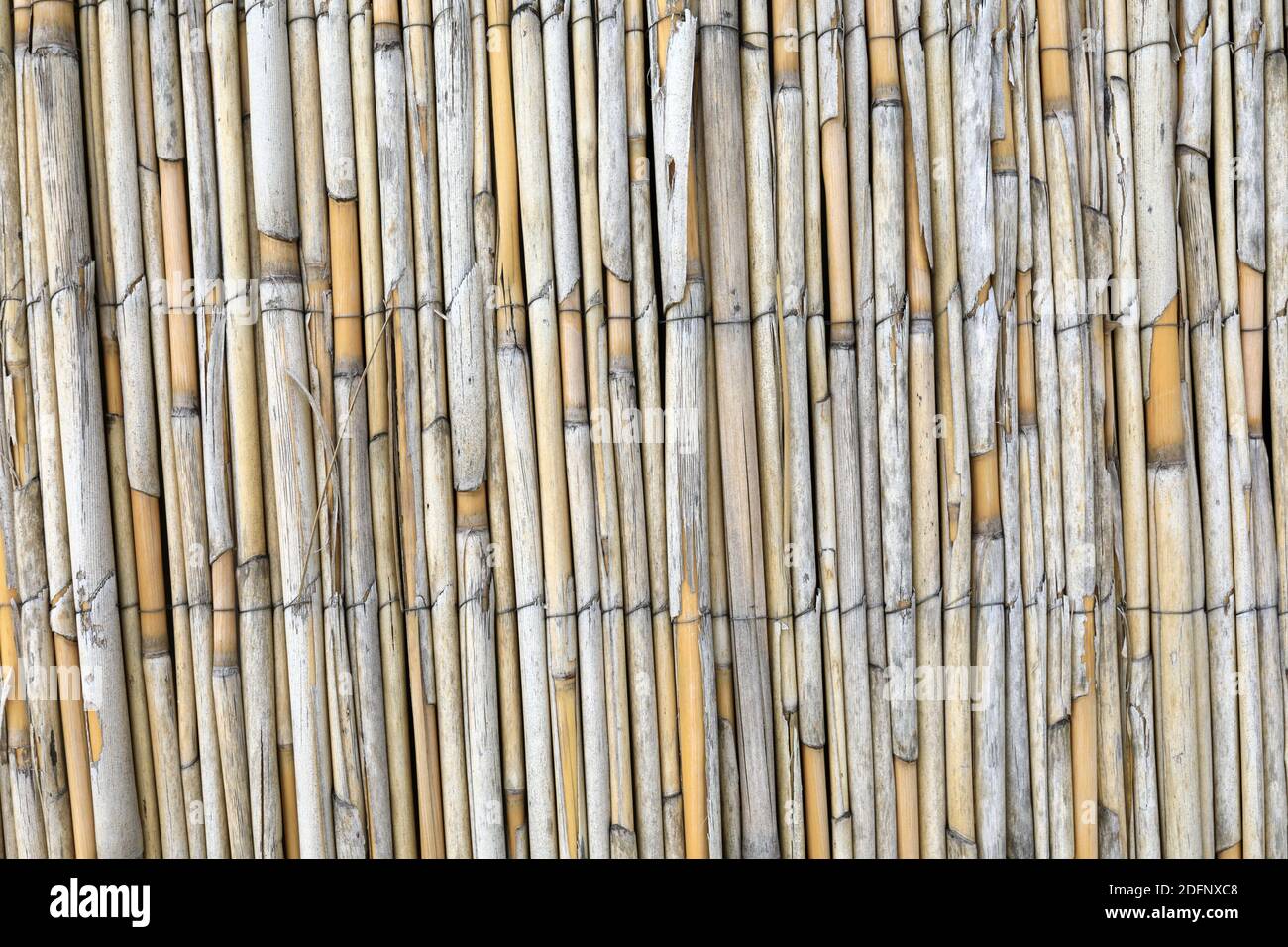 Details wall of bamboo rods as background Stock Photo - Alamy