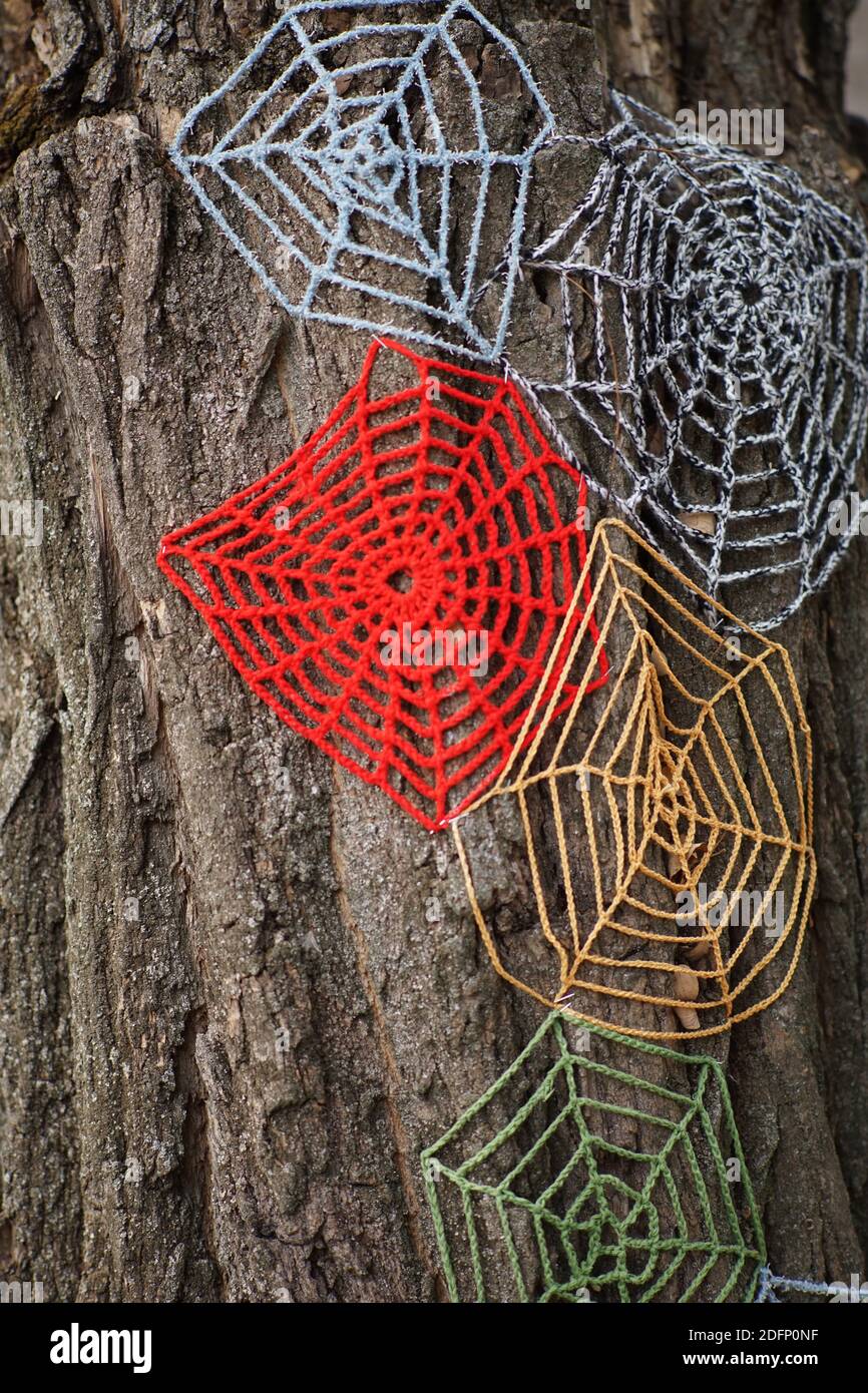 Knitted cobweb with colored threads on a tree trunk. Stock Photo