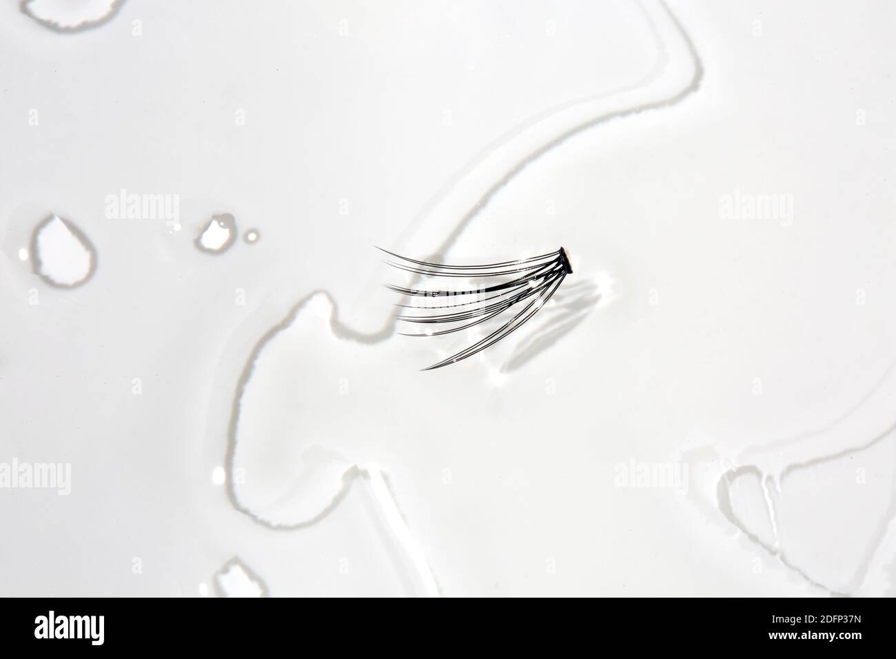 Artificial Individual Eye Lash in water puddle on white background Stock Photo