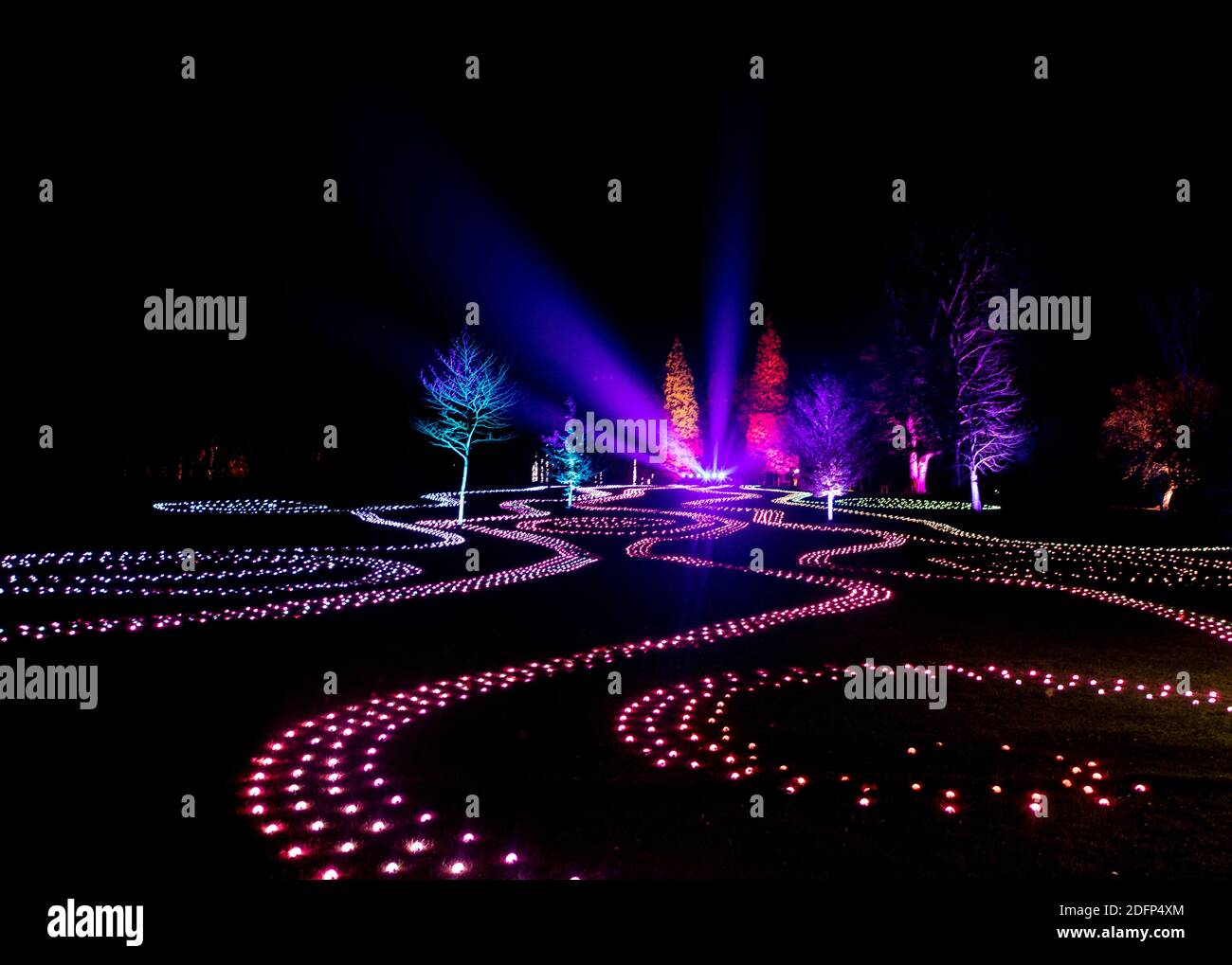 Illiminated tree hires stock photography and images Alamy