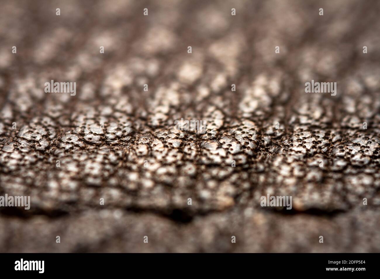 Extreme closeup of a leather, shallow deph of field. Macro for brown leather. Stock Photo