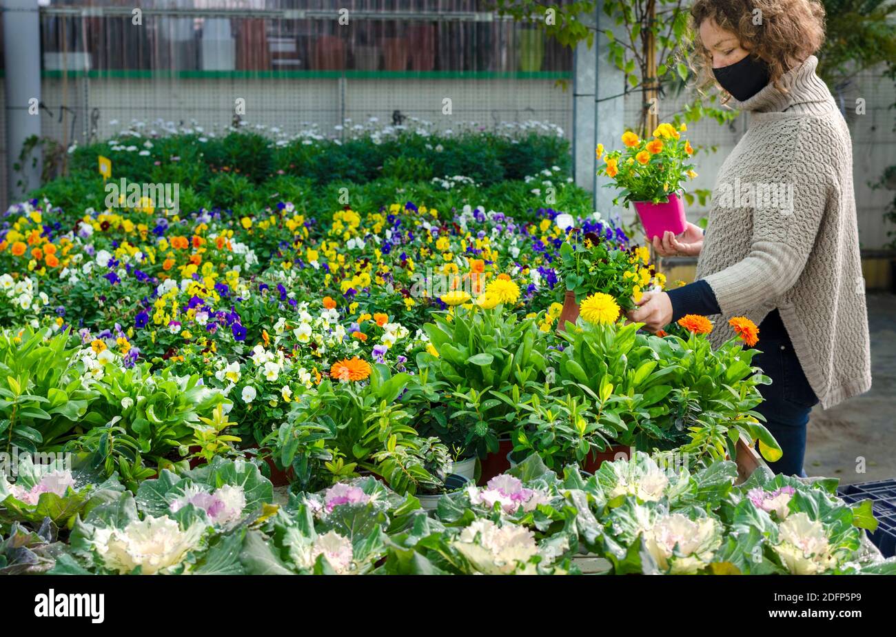 Customer wearing a face mask and choosing plants in a nursery. Stock Photo