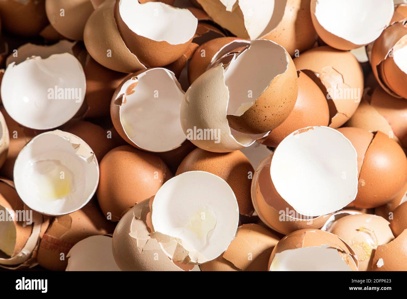 broken egg shells Stock Photo