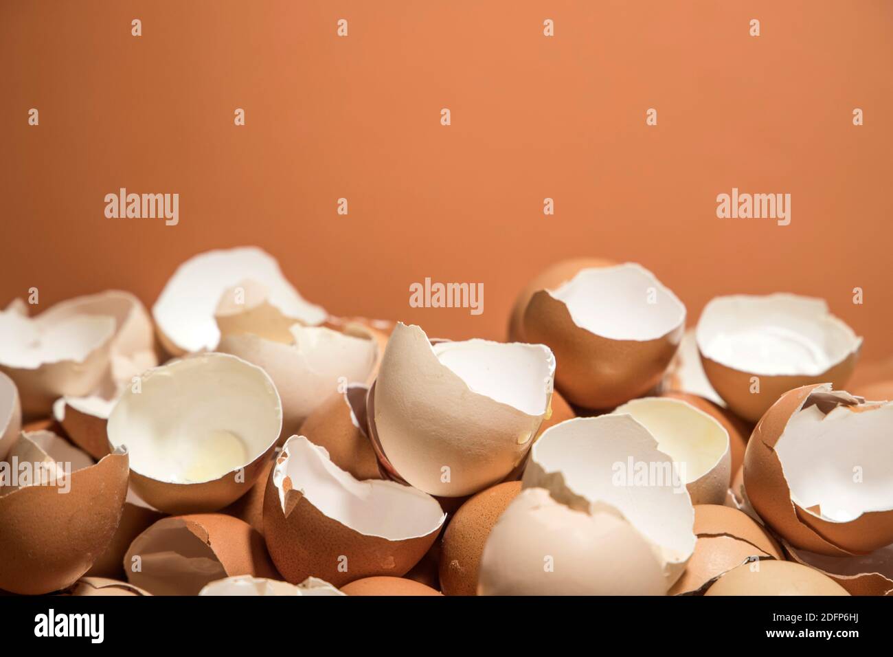 broken egg shells Stock Photo