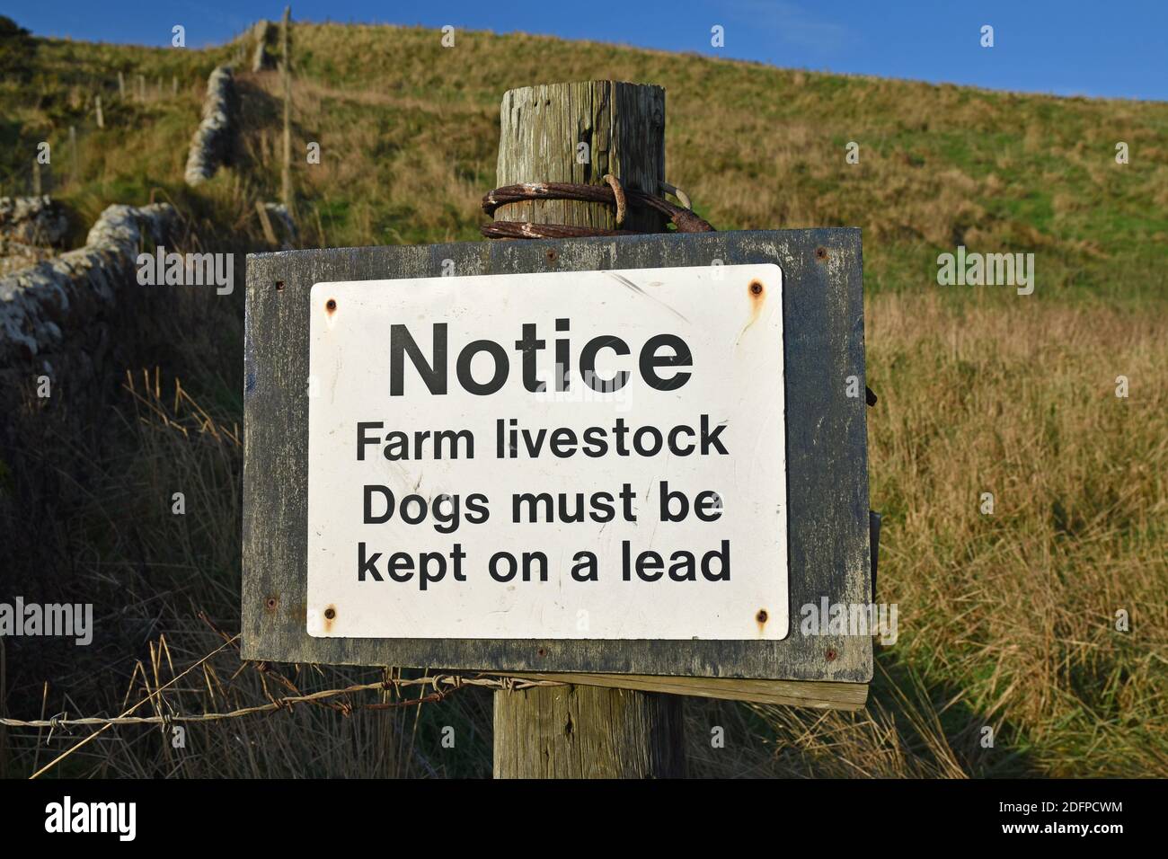Isolated black and white sign with text: Notice Farm livestock Dogs must be kept on a lead. Blurred stone wall and field background. Stock Photo