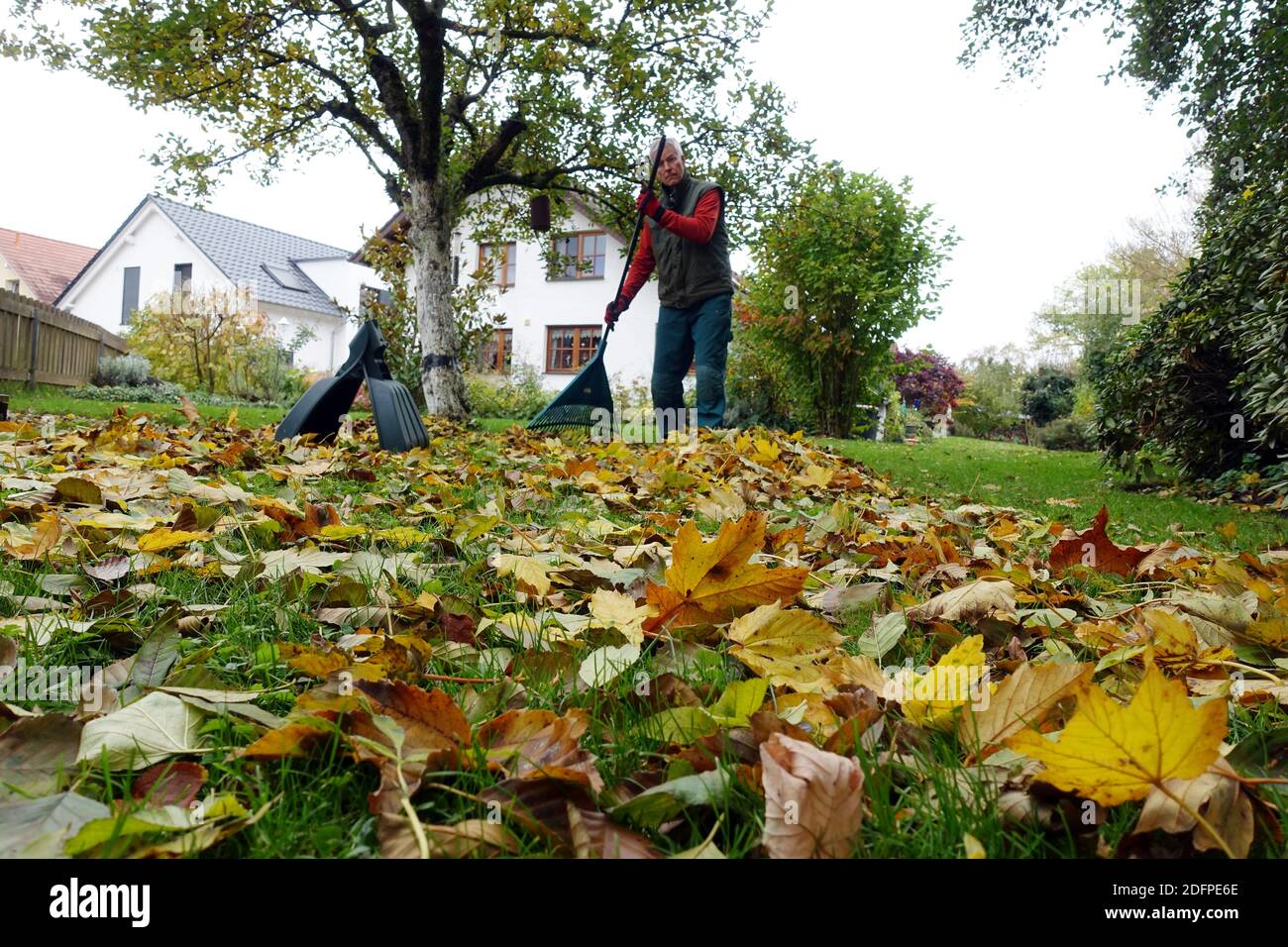 Herbstlaub auf dem Rasen vor einem Einfamilienhaus im Landhaus-Stil, Weilerswist, Nordrhein-Westfalen, Deutschland Stock Photo
