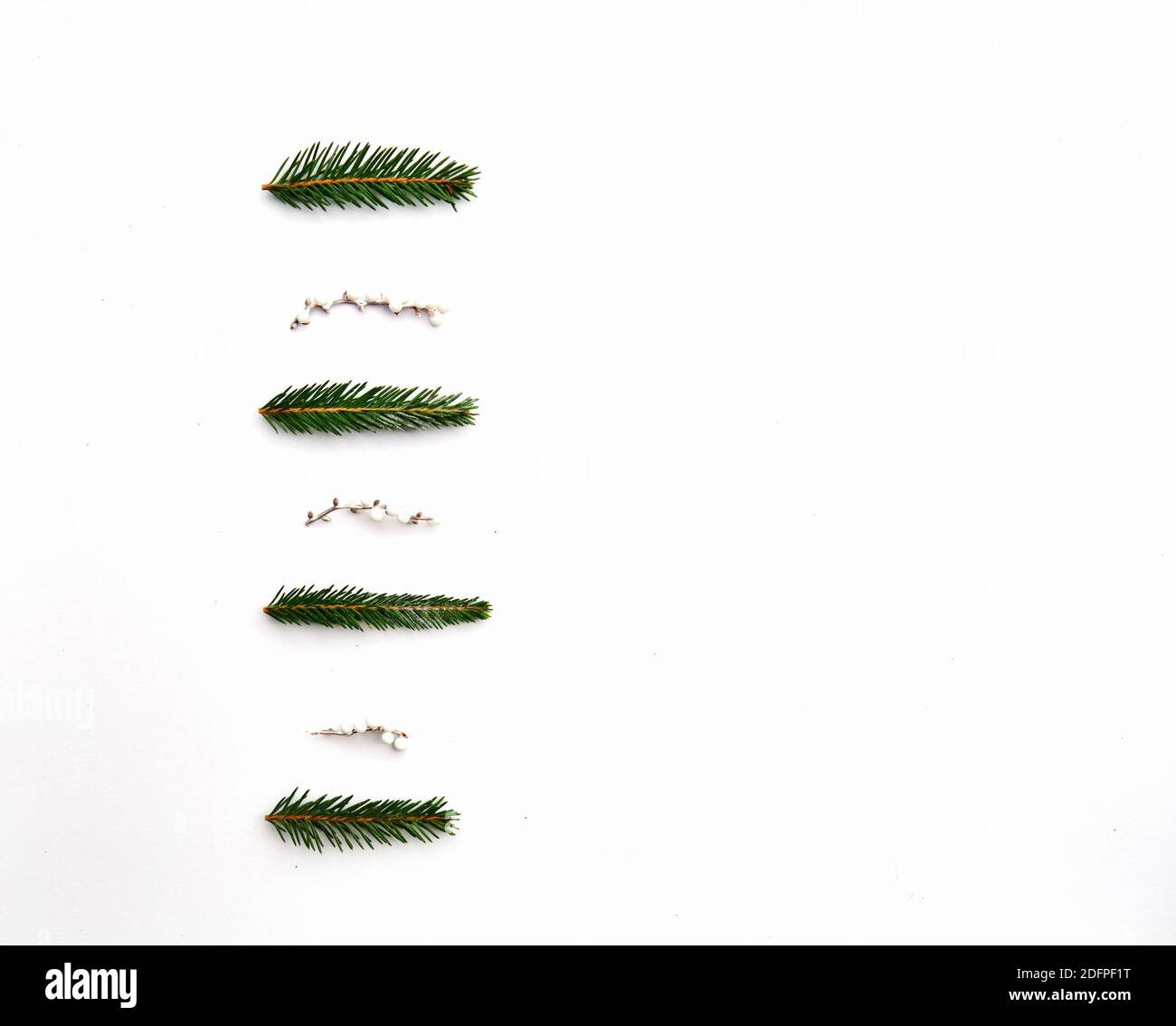 Creative frame made of Christmas fir branches on white background with ...