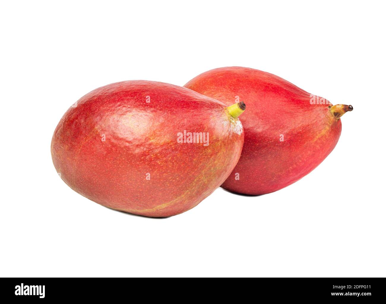 Two delicious red mango fruit isolated on a white background Stock ...