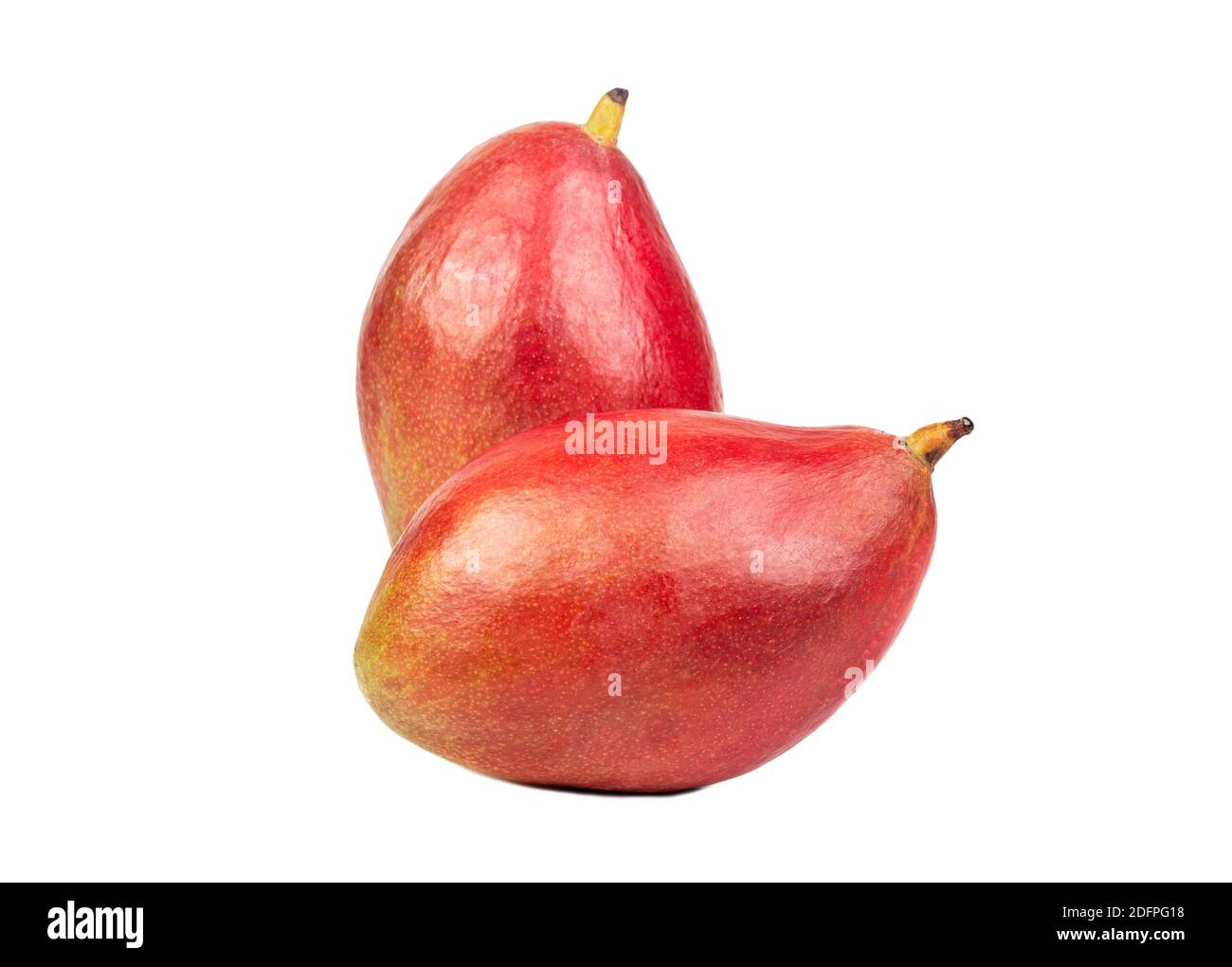 Two red mango fruit isolated on a white background Stock Photo - Alamy