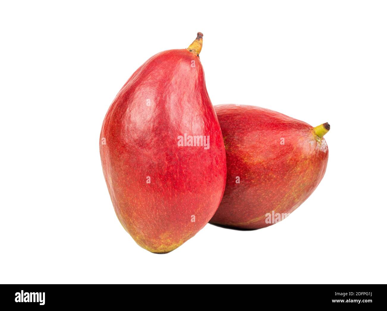 Two red mango fruit isolated on a white background Stock Photo - Alamy