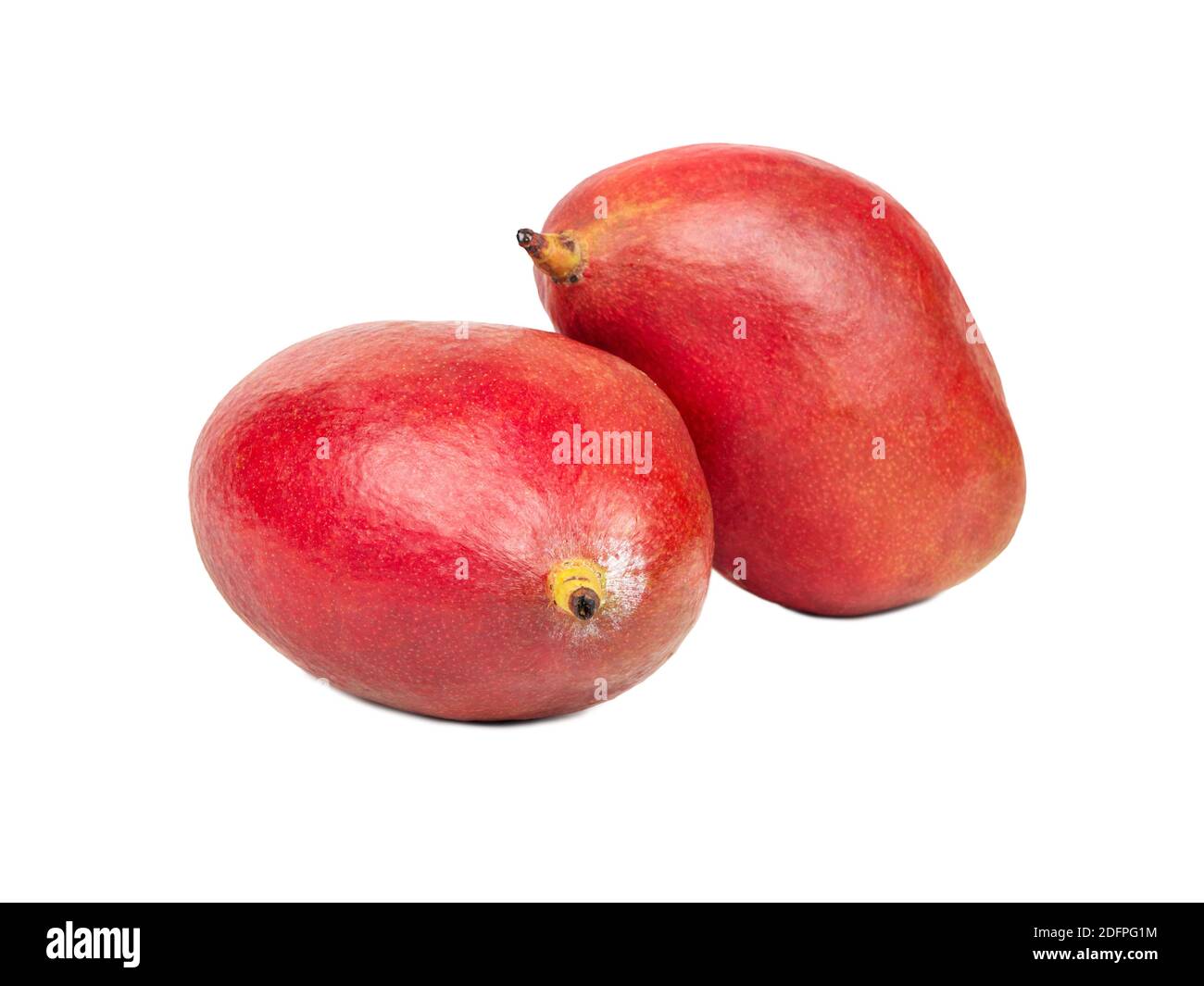 Two delicious red mango fruit isolated on a white background Stock ...