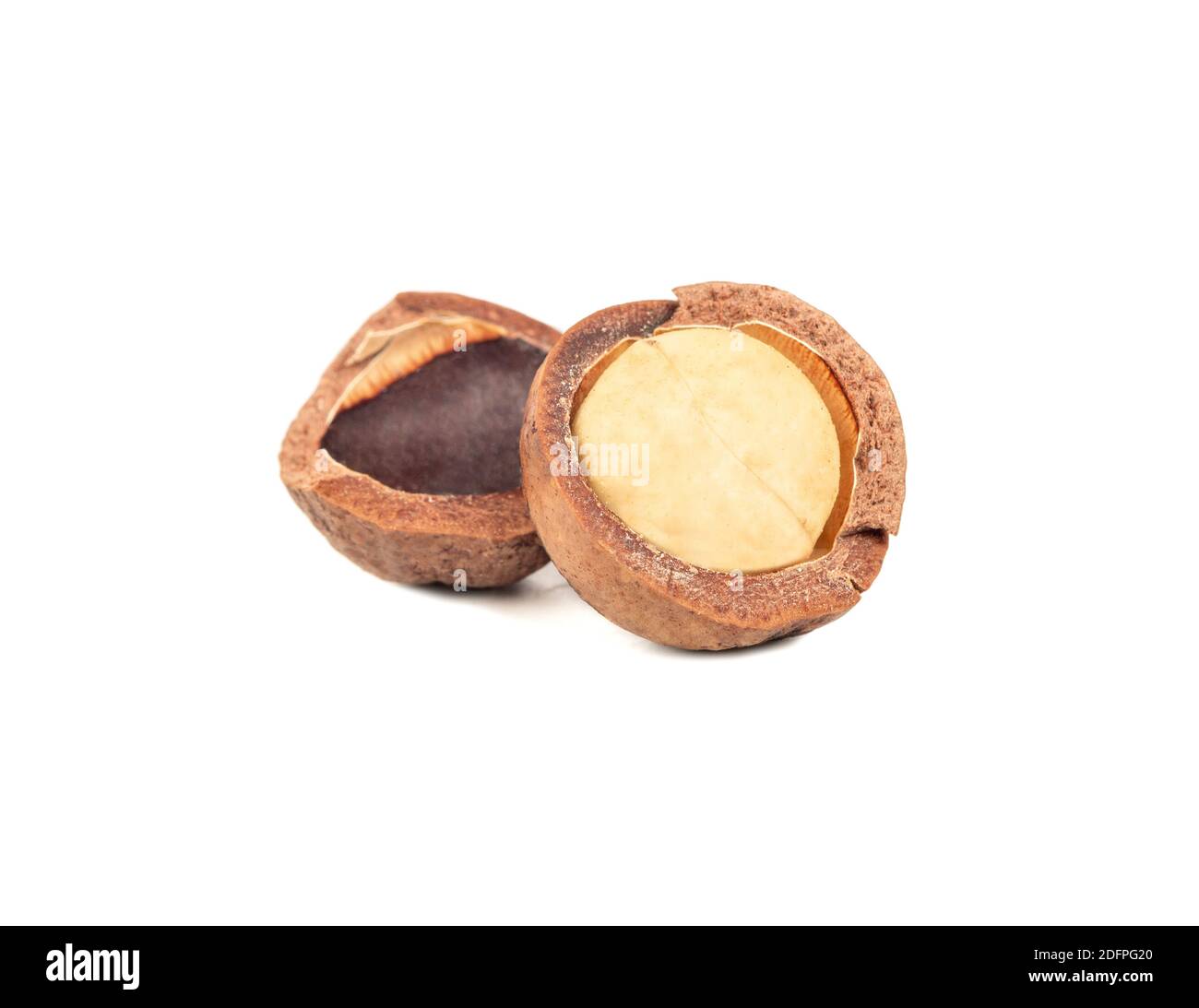 Split macadamia nut isolated on white background Stock Photo