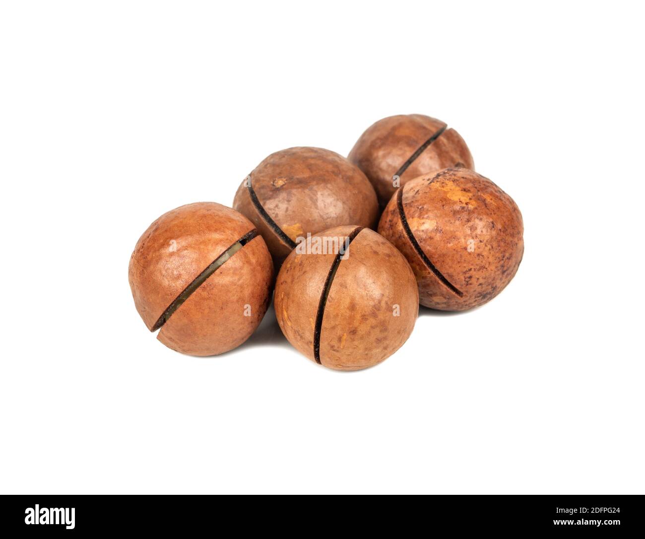 Several macadamia nuts on a white background Stock Photo
