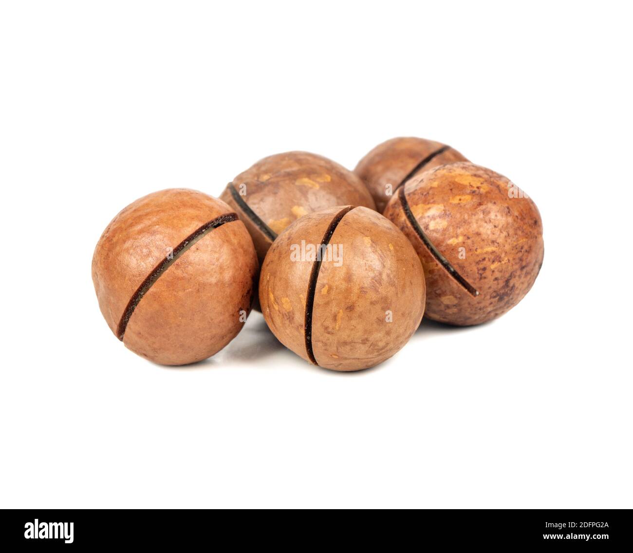 Several macadamia nuts on a white background Stock Photo
