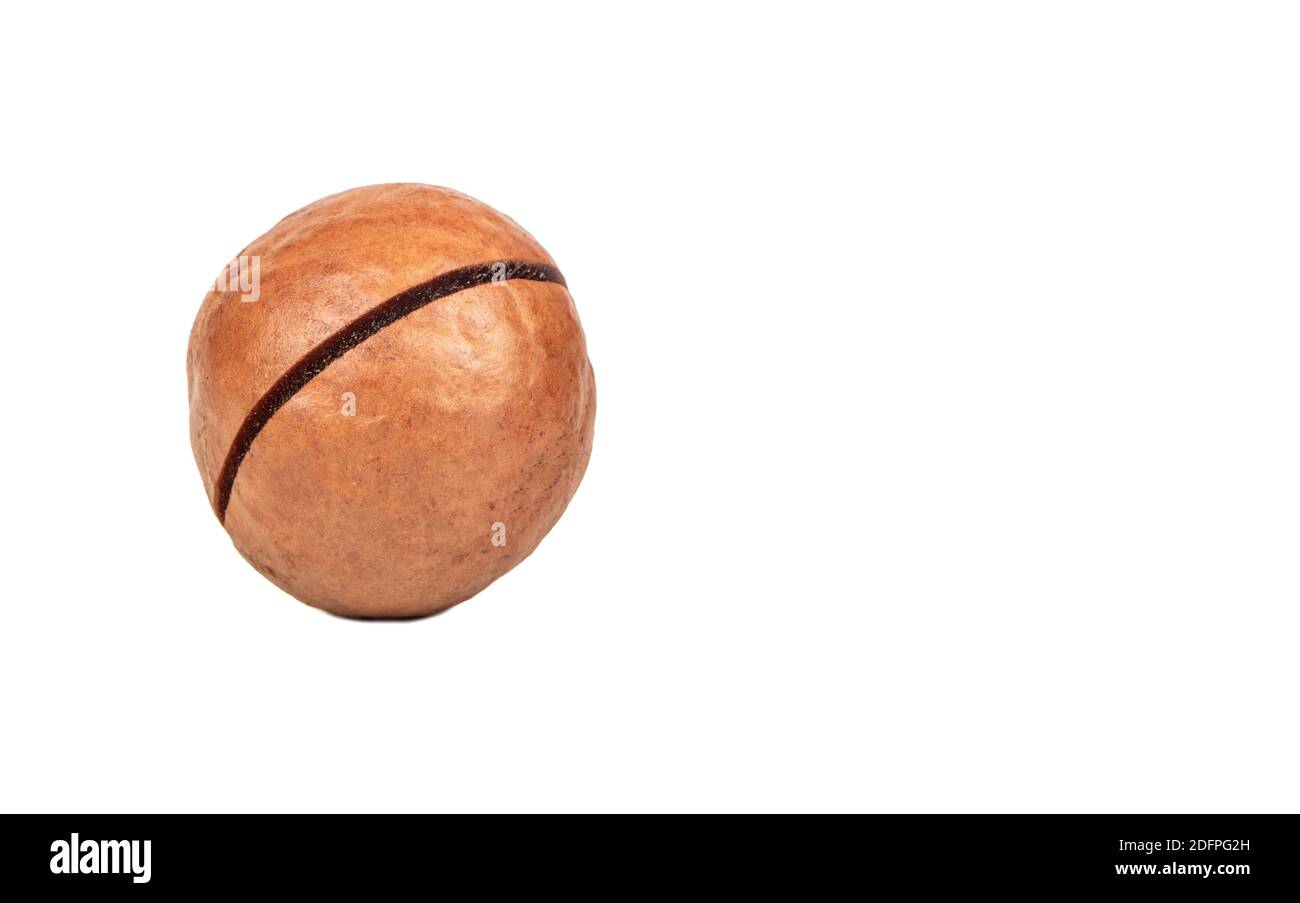 Macadamia nut in a shell on an empty white background subtext Stock Photo