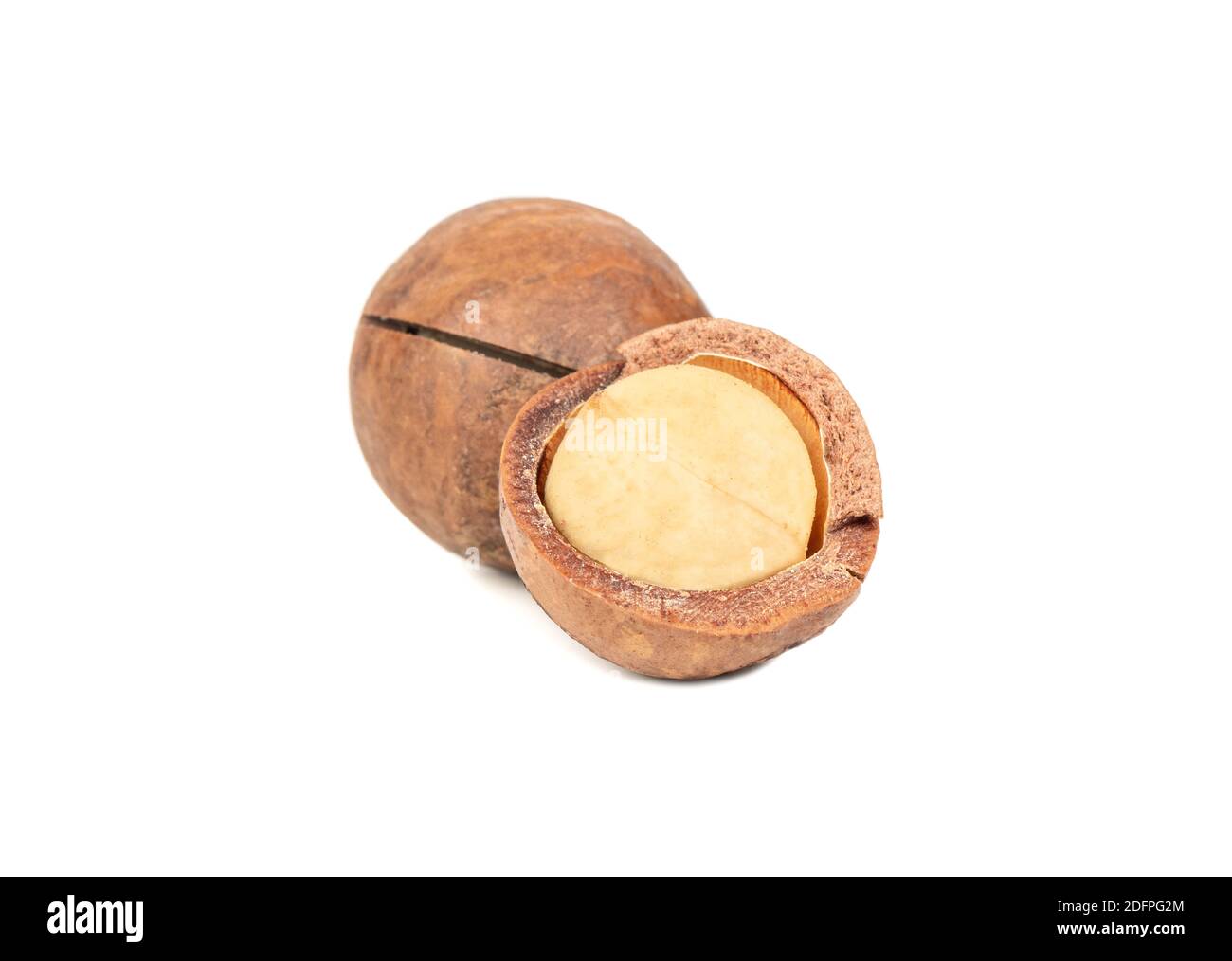 Split macadamia nut isolated on white background Stock Photo