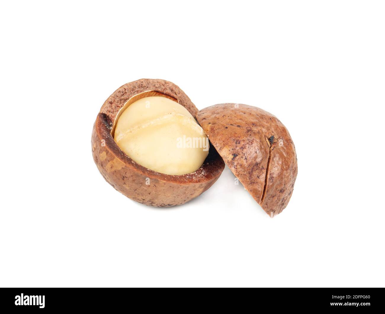 Split macadamia nut isolated on white background Stock Photo