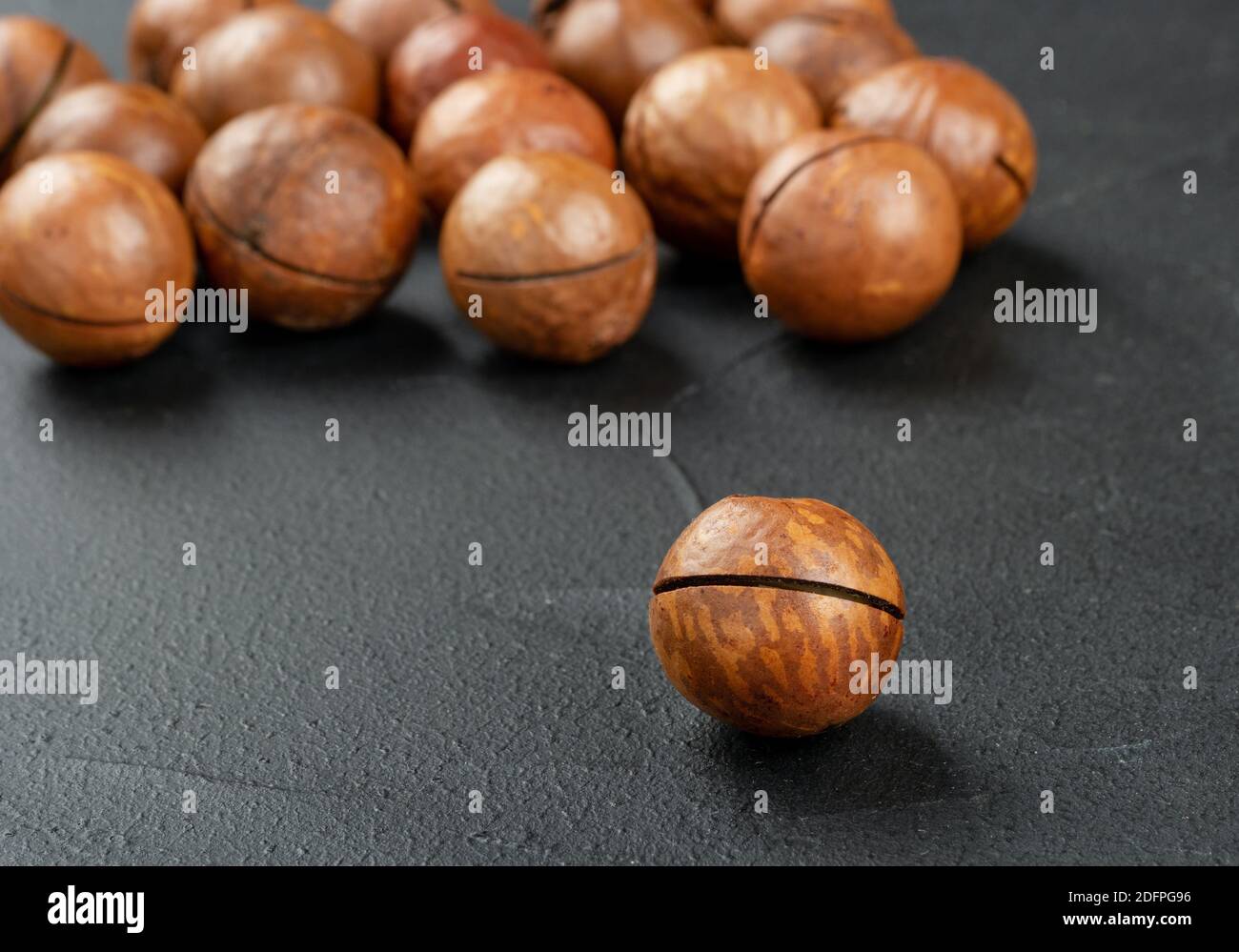 Scattered macadamia nuts in their shells on a dark background Stock Photo
