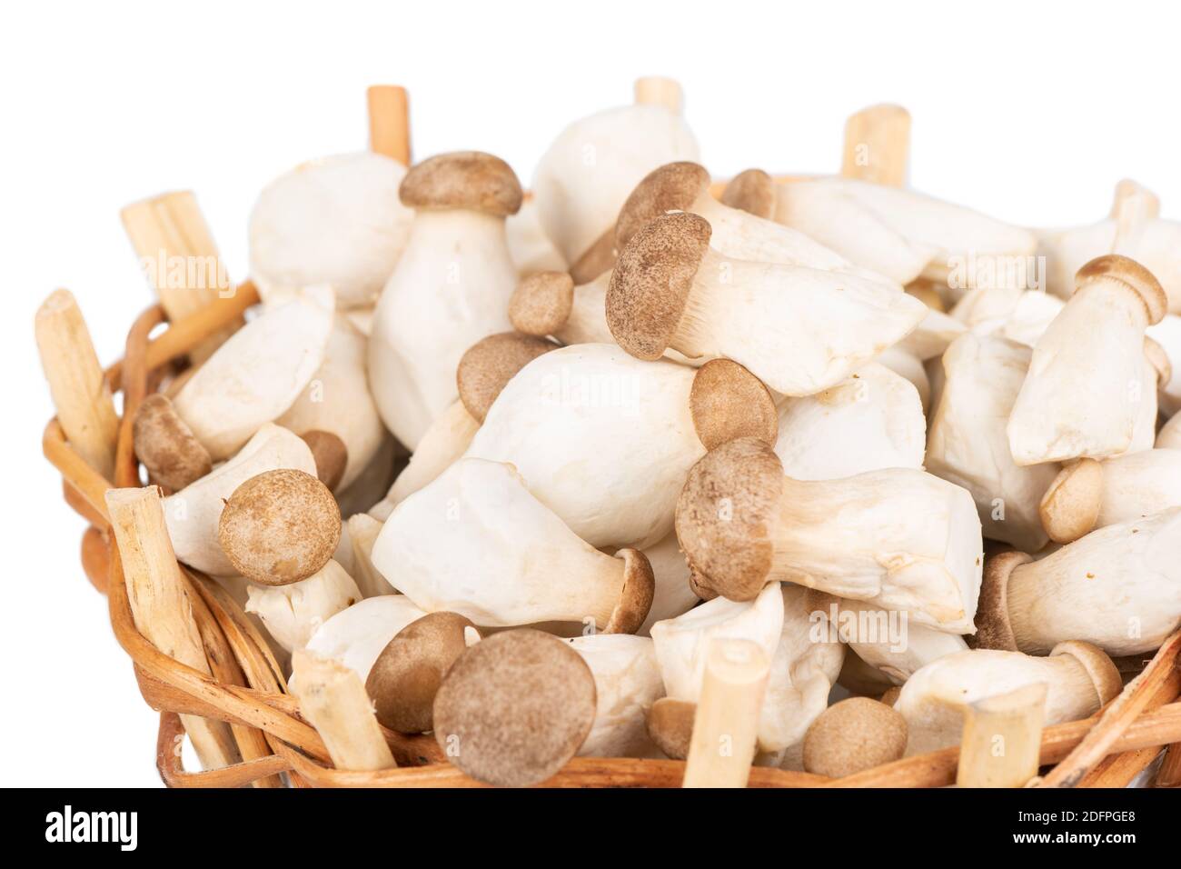 Small eringi mushrooms in a basket close up Stock Photo