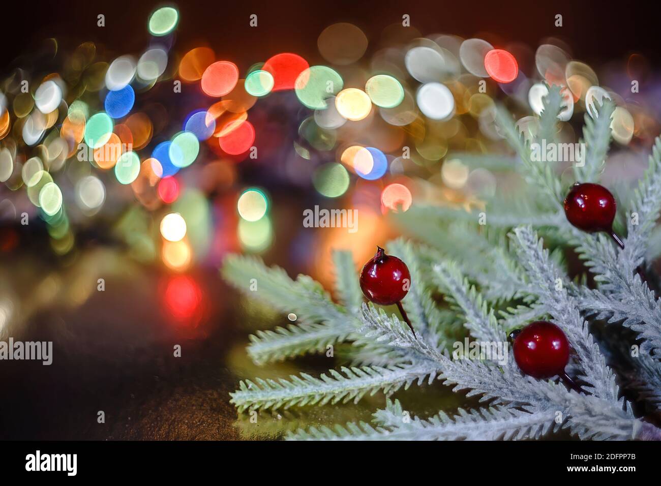 Christmas tree branches with red berries on golden background Stock ...