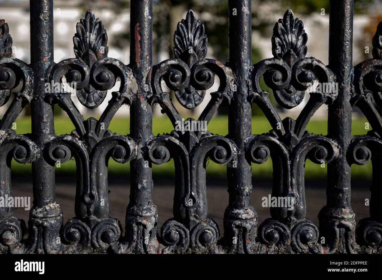 Detail of decorative metal fence with floral Elements. Dublin, Ireland