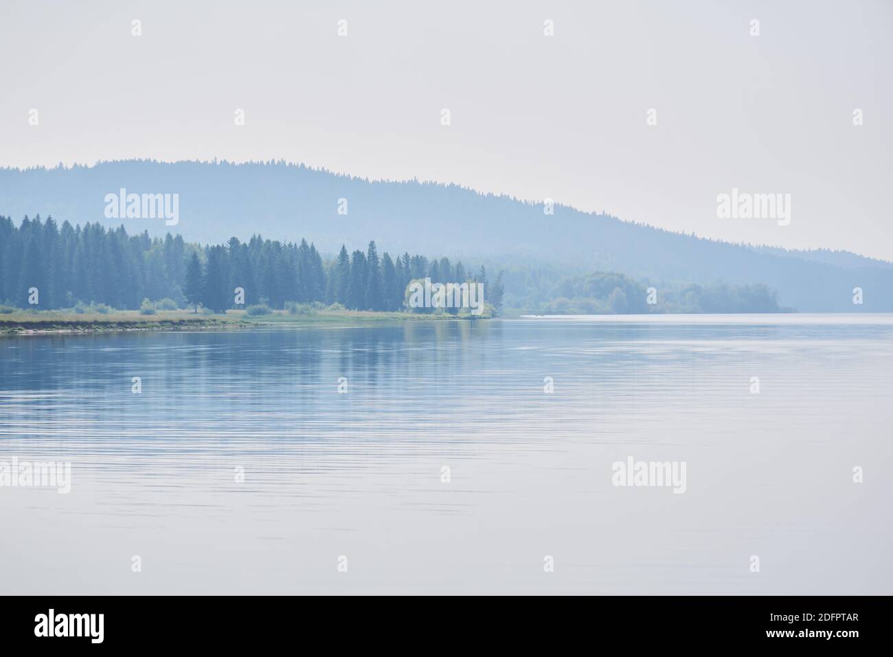 Delicate silhouettes of trees hi-res stock photography and images - Alamy