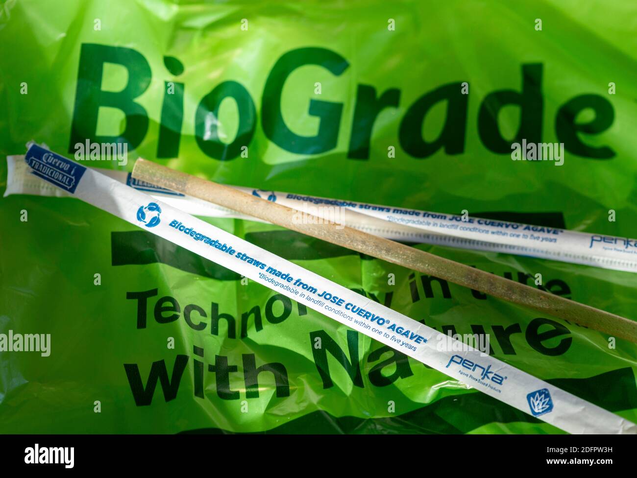 Biodegradable packaging: 5 companies to watch | tocco