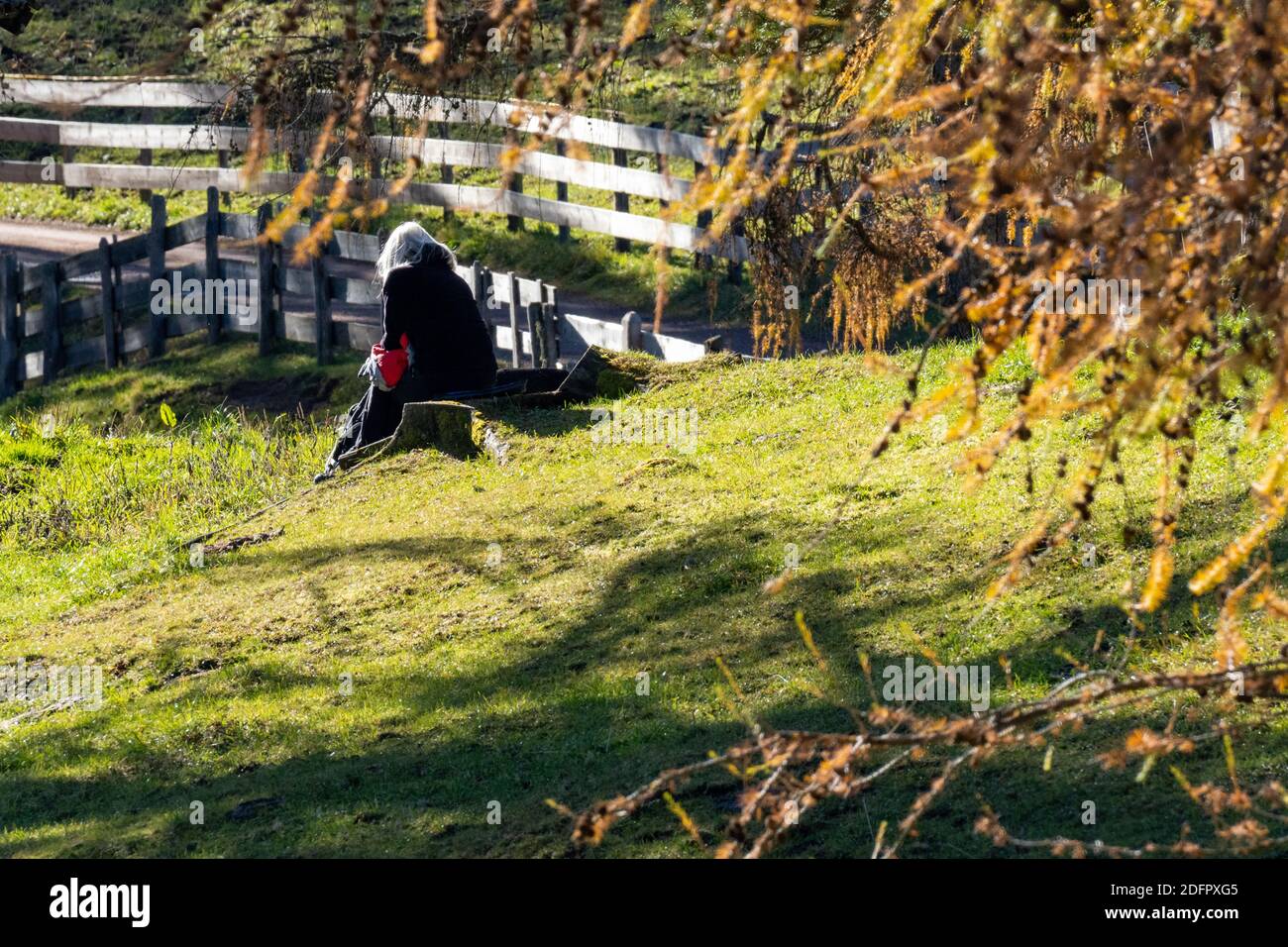 Senior woman alone park sad hi-res stock photography and images - Alamy