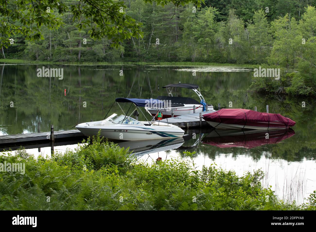 This threesome of boats was docked at Little Squam Lake, in Ashland, NH