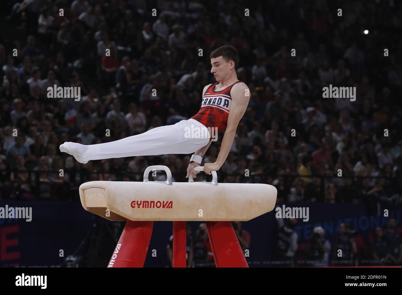 Canada's Thierry Pellerin in the Pommel Horse event during the Artistic