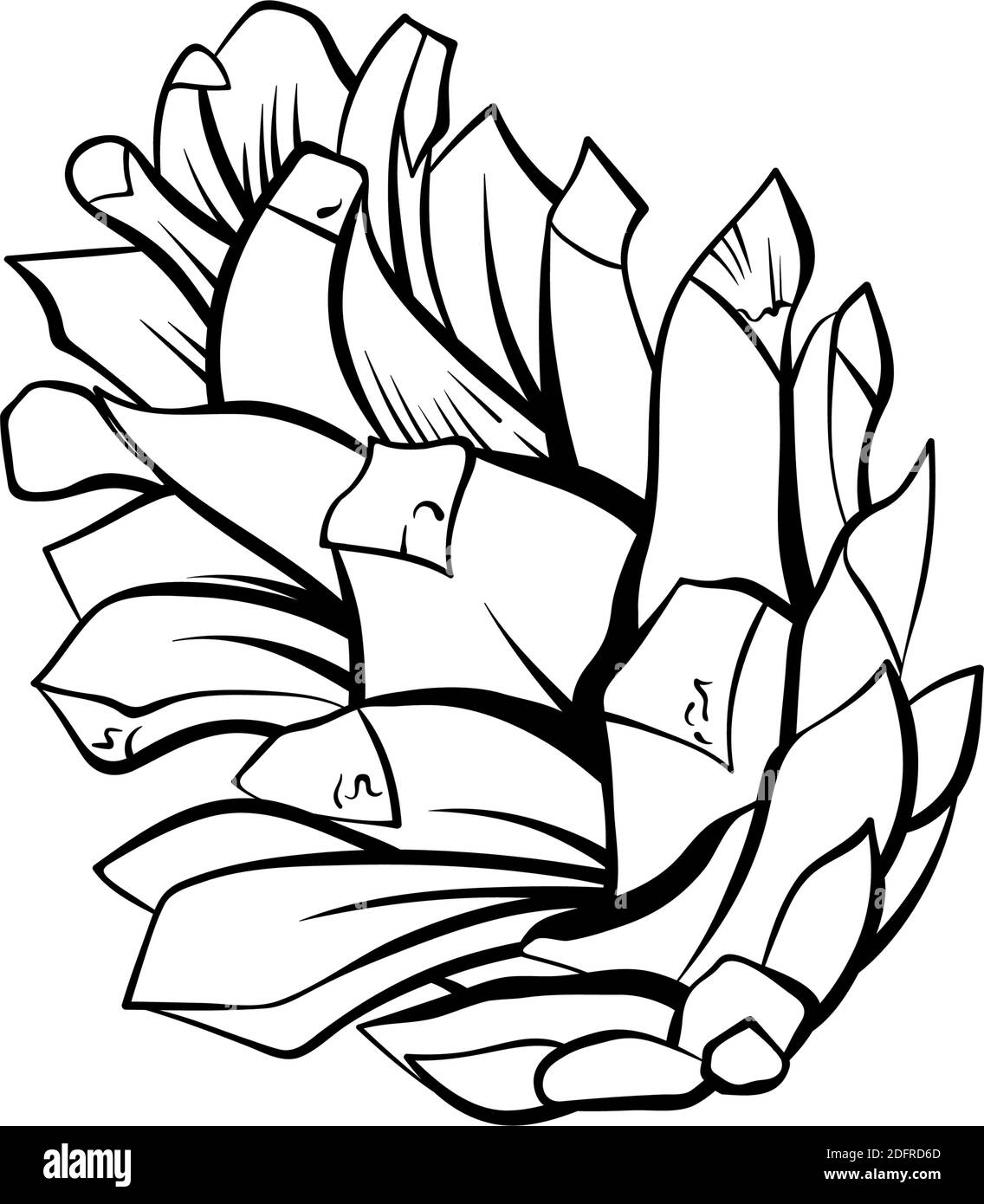 Fir cone set, pinecone spruces, vector line art decoration element for patterns and backgrounds. Pinecone isolated design, modern trendy black and white hand drawn Christmas decor Stock Vector