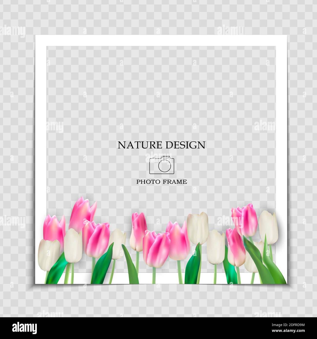 Natural Background Photo Frame Template with spring Tulips Flowers for post in Social Network. Vector Illustration Stock Vector