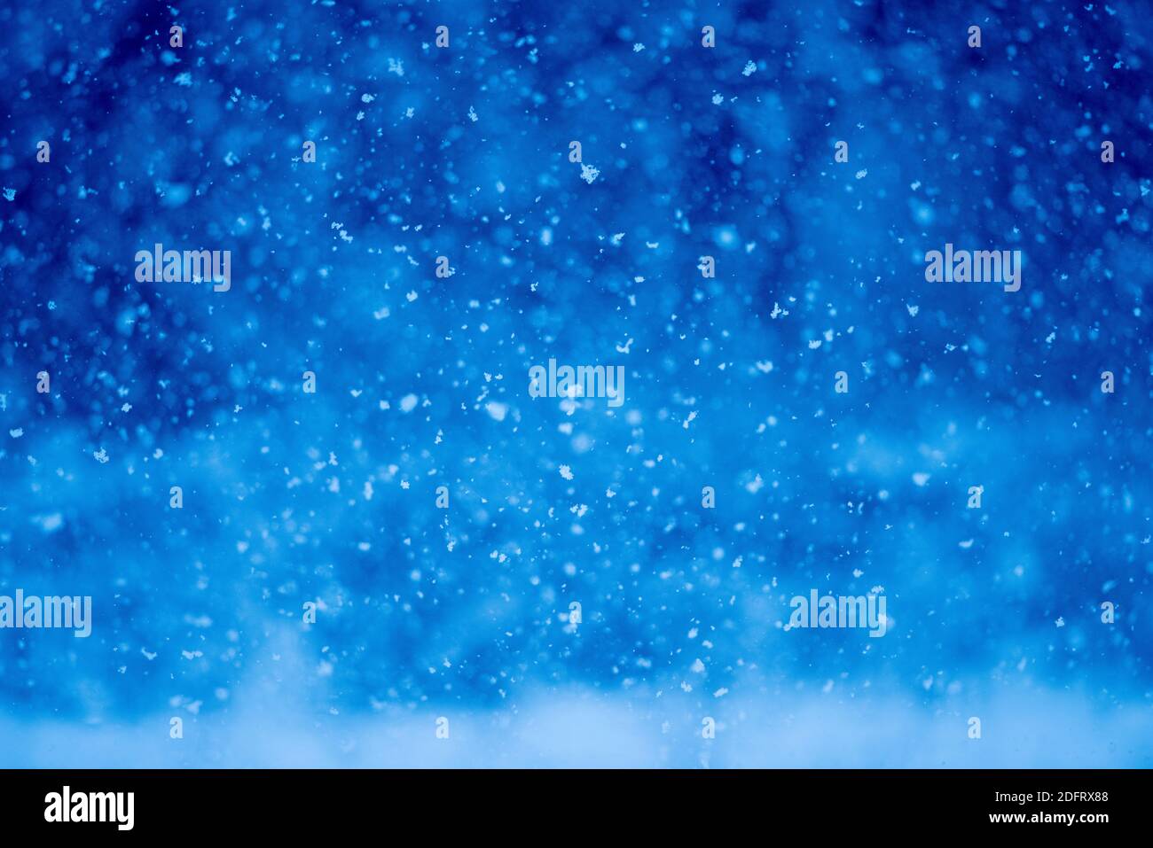 Snowflakes fall during a winter storm. Stock Photo