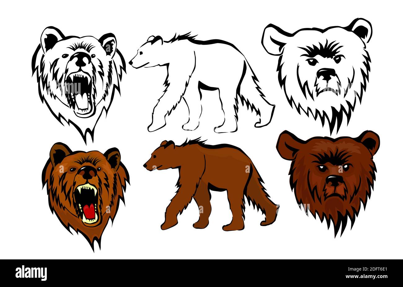 Set of drawings of a bear. Vector illustration Stock Vector Image & Art ...