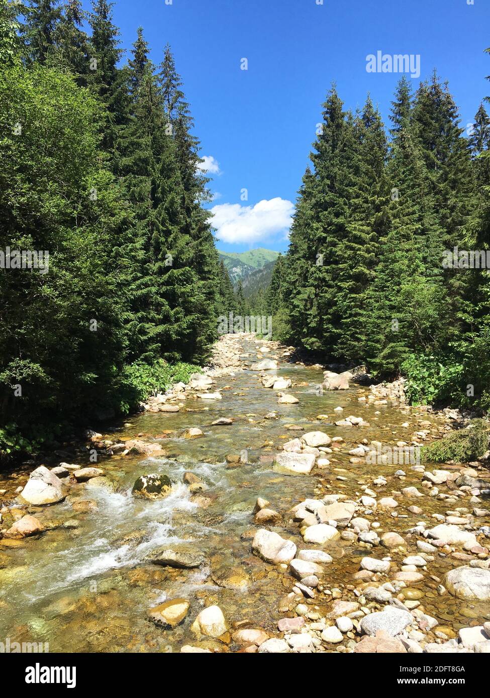a vertical shot of a shallow river flowing through the rocks amid the ...