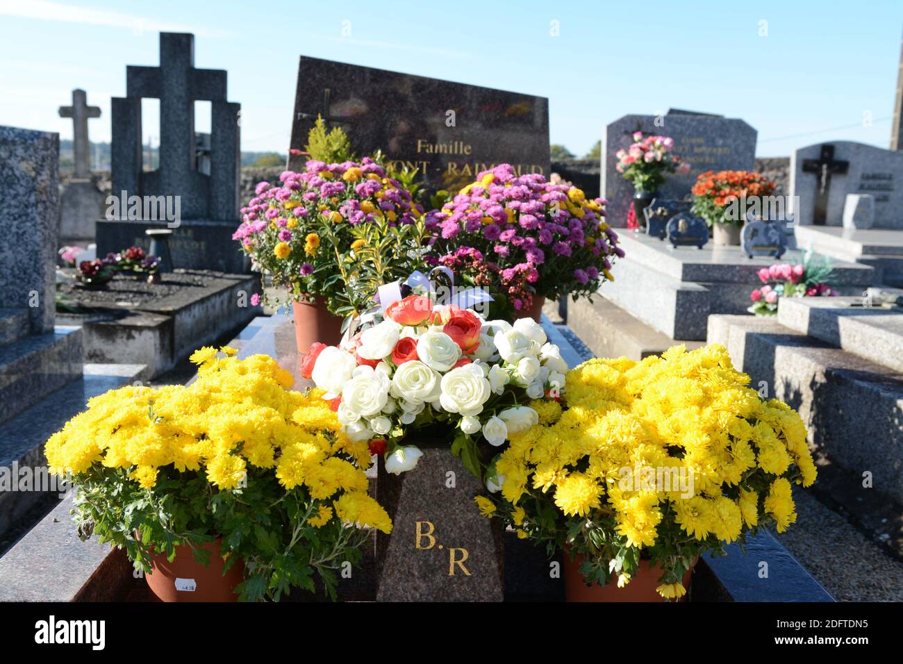 This photo shows flowers (chrysanthemum) on a grave before All Saints' Day, on October 30, 2018