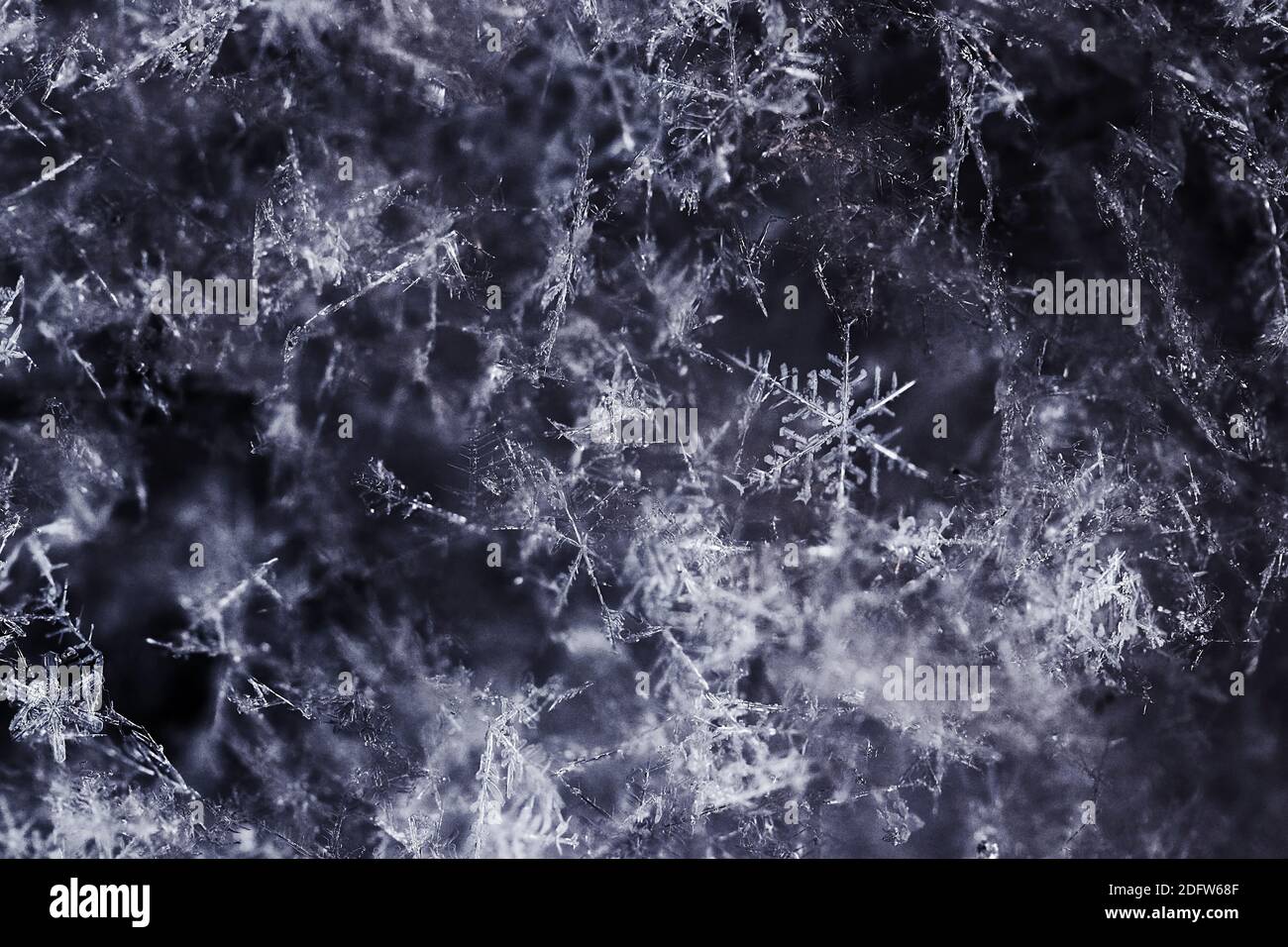 Filigree snowflakes hi-res stock photography and images - Alamy