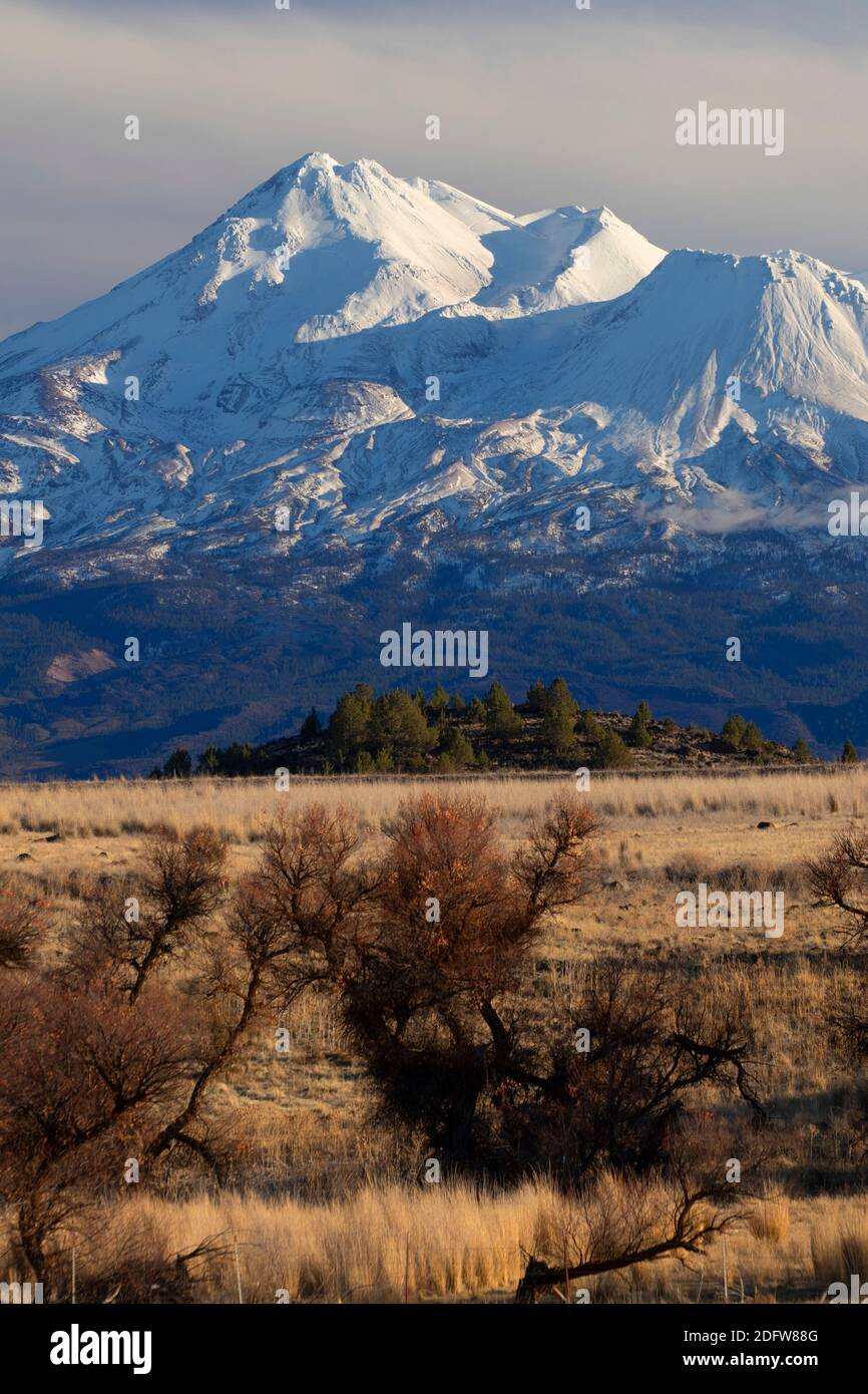 Grassland view to Mt Shasta, Shasta Valley Wildlife Area, California Stock Photo
