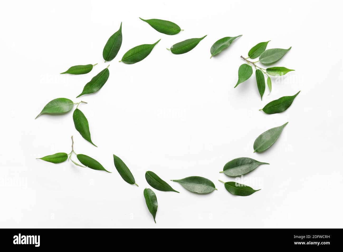Frame made of green tea leaves on white background Stock Photo - Alamy