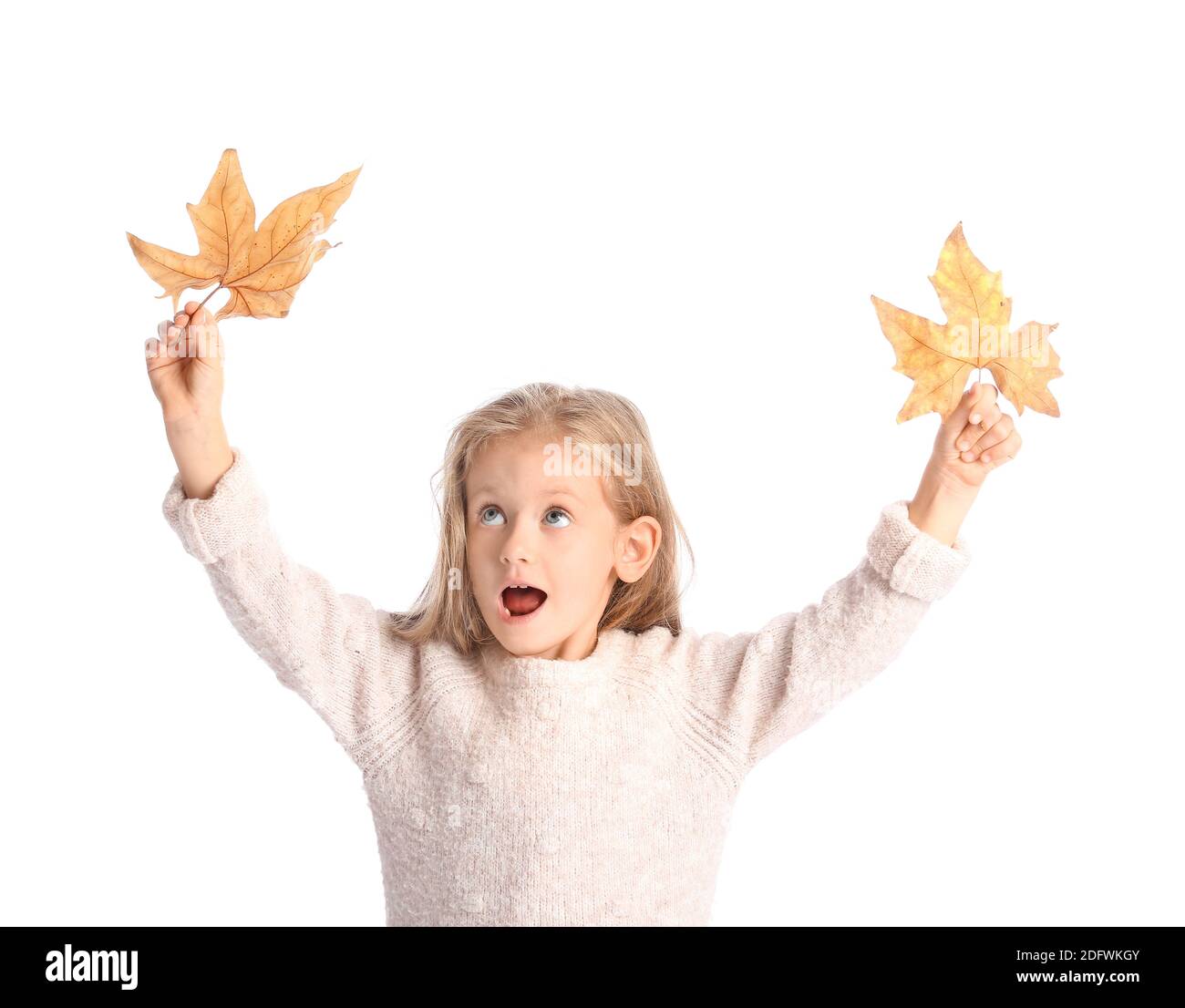 Cute little girl with autumn leaves on white background Stock Photo - Alamy