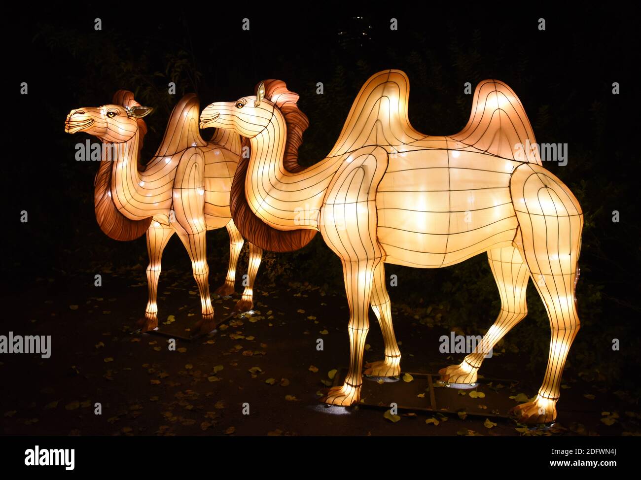 A picture taken on November 29, 2018 shows giant animal shaped light structures displayed at the Jardin des Plantes 'botanical garden' Zoo in Paris, as part of the Light Festival exhibition entitled 'Espèces en voie d'illumination' which runs from November 16, 2018 to January 15, 2019. Photo by Alain Apaydin/ABACAPRESS.COM Stock Photo