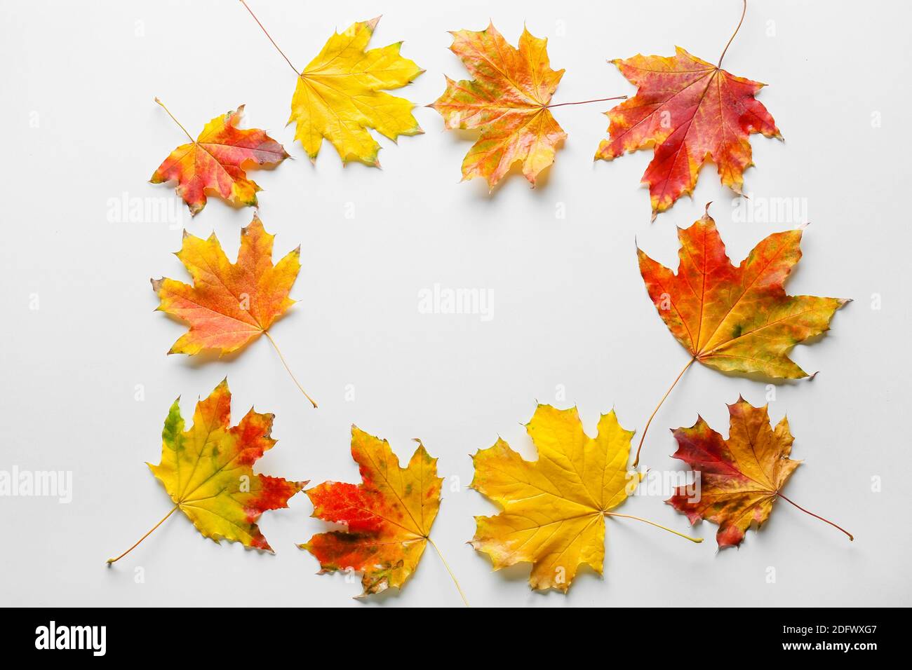 Frame made of autumn leaves on white background Stock Photo - Alamy