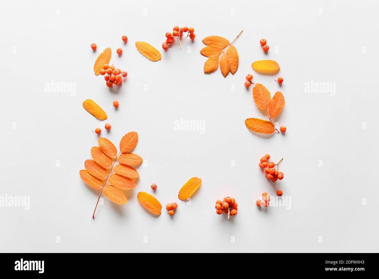 Frame made of autumn leaves on white background Stock Photo - Alamy