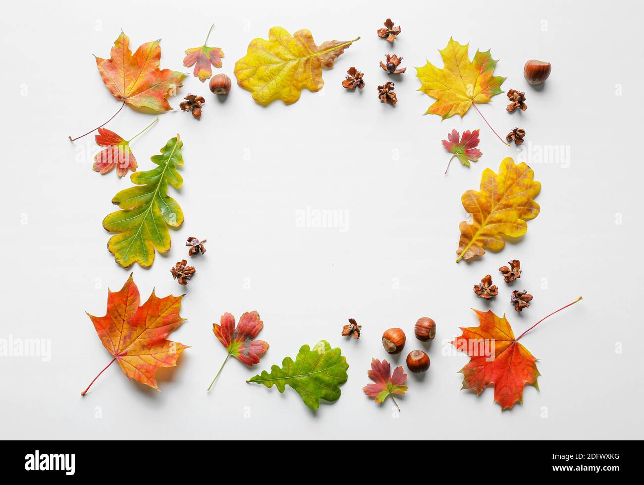 Frame made of autumn leaves on white background Stock Photo - Alamy