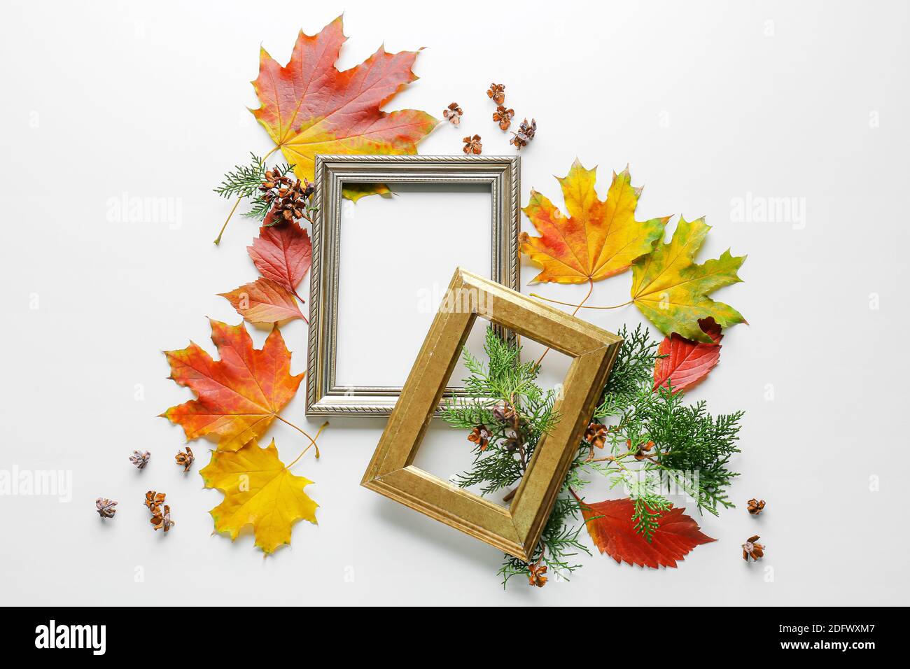 Beautiful autumn composition with leaves and frames on white background ...