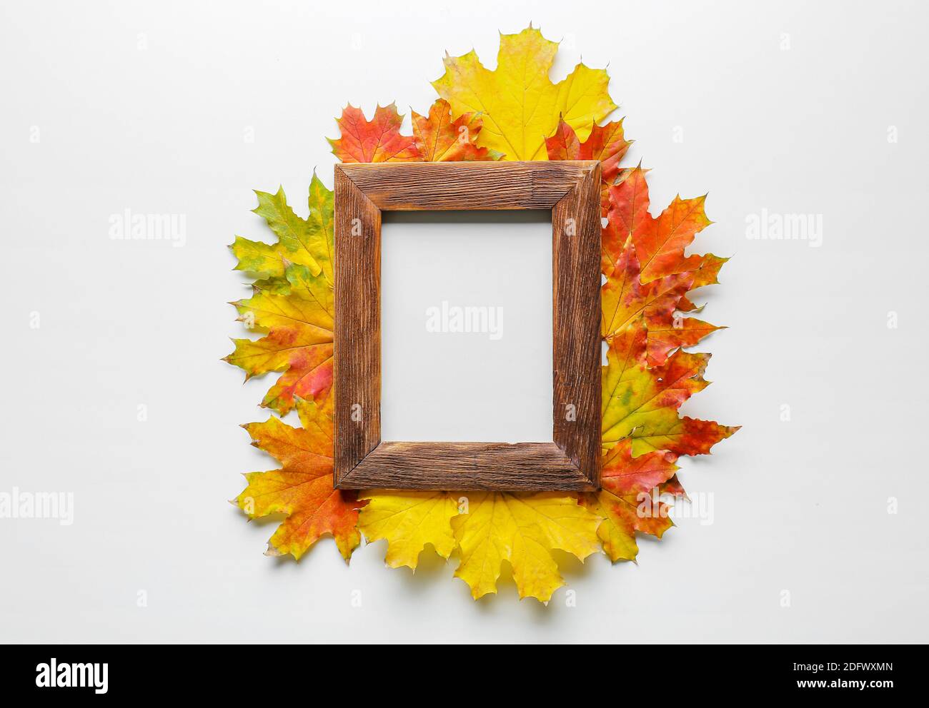 Beautiful autumn composition with leaves and blank frame on white ...