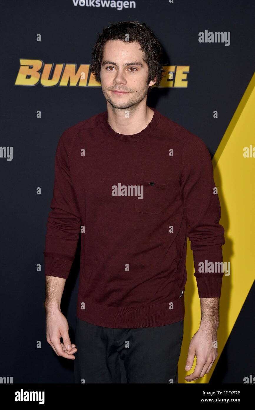 How Much Did Dylan O Brien Make For Bumblebee at Dennis Barbee blog