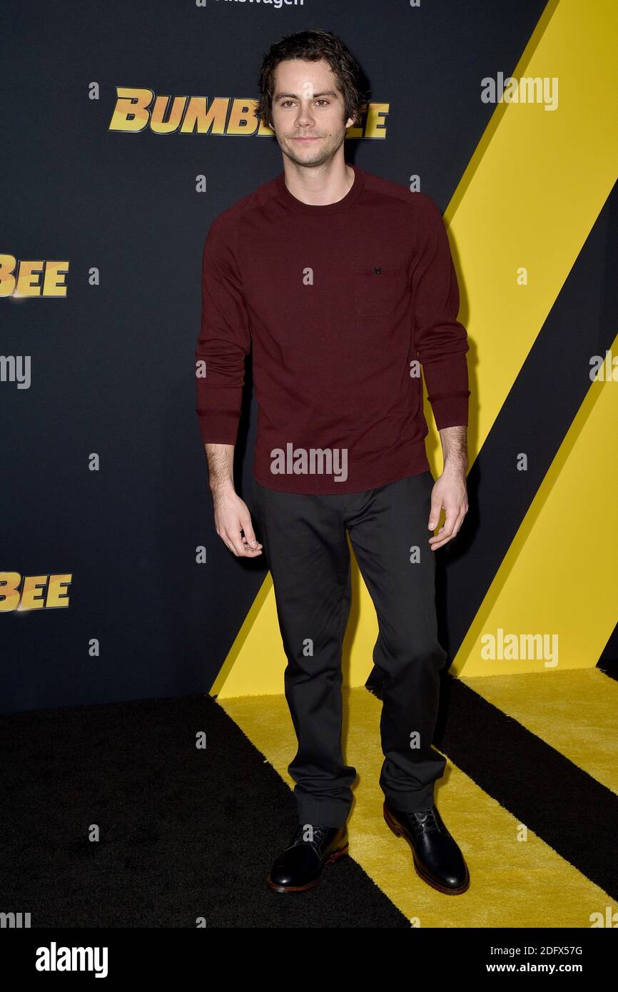Dylan O'Brien attends the Bumblebee World Premiere on December 9, 2018